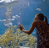 The Aquarium of Western Australia - Accommodation Brunswick Heads