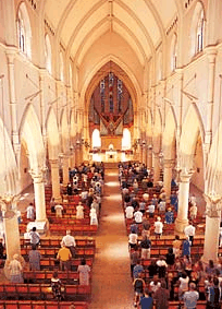 The Cathedral Of Saint Stephen - Sydney Tourism 2