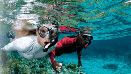 Snorkel Safari Brisbane - Find Attractions 1