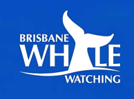 Brisbane Whale Watching - Attractions Melbourne 3