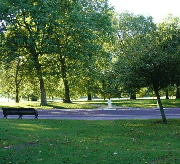 William Taylor Park