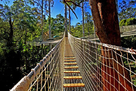 Thunderbird Park - Attractions Brisbane