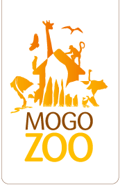 Mogo Zoo - Accommodation in Bendigo
