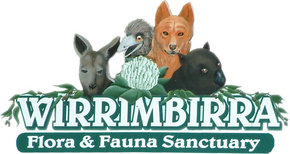 Wirrimbirra Sanctuary - Accommodation Sunshine Coast
