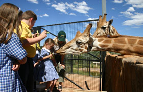 National Zoo & Aquarium - Attractions Melbourne 2