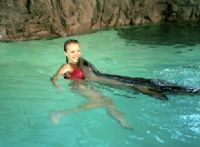 Underwater World - Accommodation Resorts 2