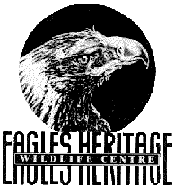 Eagles Heritage - Attractions Perth