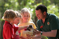 Cleland Wildlife Park - Attractions Melbourne