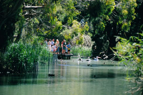 Cleland Wildlife Park - Attractions Melbourne 1