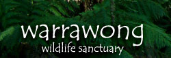 Warrawong Wildlife Park - Yamba Accommodation