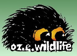 OZe Wildlife - Accommodation in Brisbane
