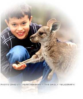 Australia Walkabout Wildlife Park - Attractions Sydney 1