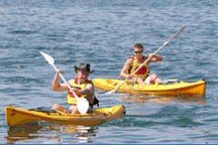 Manly Kayaks - Accommodation Mount Tamborine