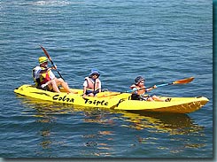 Manly Kayaks - Sydney Tourism 3