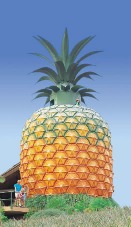 The Big Pineapple - Accommodation Whitsundays