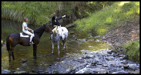 Glenworth Valley Horseriding - Attractions Perth 1