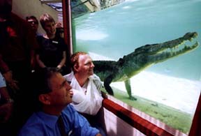 Alice Springs Reptile Centre - Accommodation Resorts 1