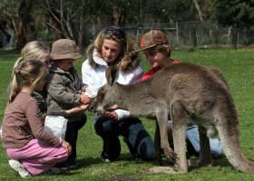 Gumbuya Park - Attractions Melbourne 1