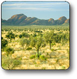 Uluru - Kata Tjuta National Park - Attractions Melbourne 2