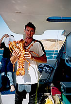 Temptation Sailing - Accommodation Port Hedland 3