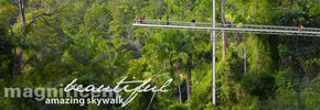 Rainforest Skywalk - Accommodation Port Hedland 2