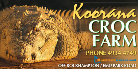Koorana Saltwater Crocodile Farm - Accommodation Brisbane