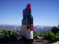 Mount Tamborine Winery  Homestead - Attractions