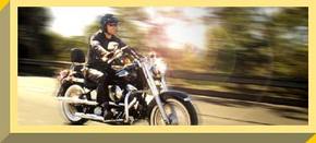 Easy Rider - Accommodation Perth 1