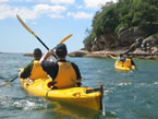 Sydney Harbour Kayaks - Attractions Melbourne 1