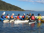 Sydney Harbour Kayaks - Accommodation Airlie Beach 2