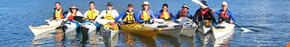 Sydney Harbour Kayaks - Accommodation Find 3
