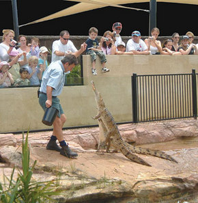 Symbio Wildlife Gardens - Attractions Melbourne 3