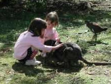 Urimbirra Wildlife Park - Attractions Perth 1
