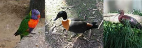 Urimbirra Wildlife Park - Broome Tourism 2