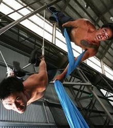 Sydney Trapeze School - Attractions Perth 2