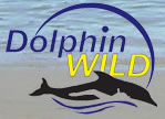 Dolphin Wild - Geraldton Accommodation