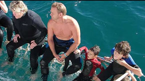 Dolphcom - Dolphin & Whale Swimming Adventures - Attractions Perth 2