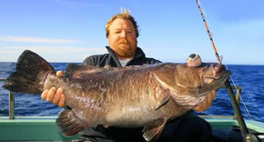 Bravo Fishing Charters - Tourism Bookings
