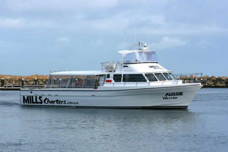 Mills Charters Fishing And Whale Watch Cruises - Accommodation Port Hedland 1