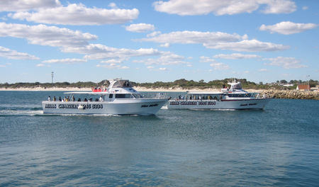 Mills Charters Fishing And Whale Watch Cruises - Attractions 2