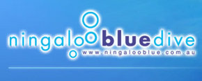 Ningaloo Blue Dive - Accommodation Mt Buller