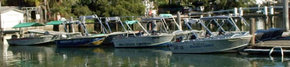 Brooklyn Central Boat Hire & General Store - Attractions Perth 1