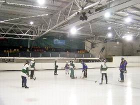 The Ice Arena - Attractions Sydney 2