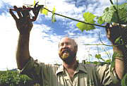 Barossa Experience Tours - Tourism Cairns