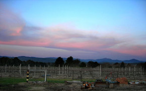 Buller View Wines - Accommodation Find 1