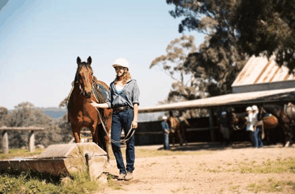 Watsons Trail Rides - Attractions Perth 0