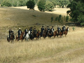 McCormacks Mountain Valley Trail Rides - Attractions Melbourne