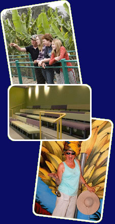Big Banana - Accommodation Port Hedland 2