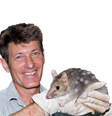 Geckoes Wildlife Presentations - Bundaberg Accommodation
