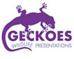 Geckoes Wildlife Presentations - Accommodation ACT 3